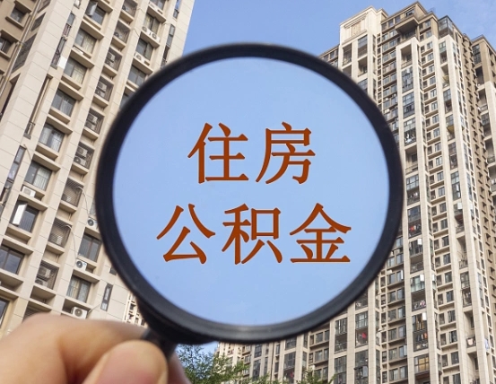 查询公积金-孟津公积金代办平台